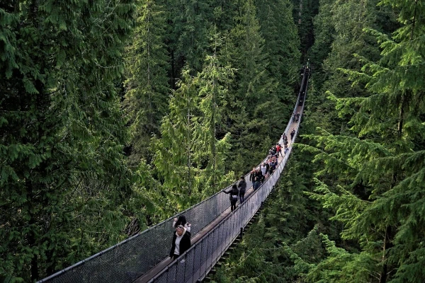 Capilano Suspension Bridge Park, Vancouver, Attraction.